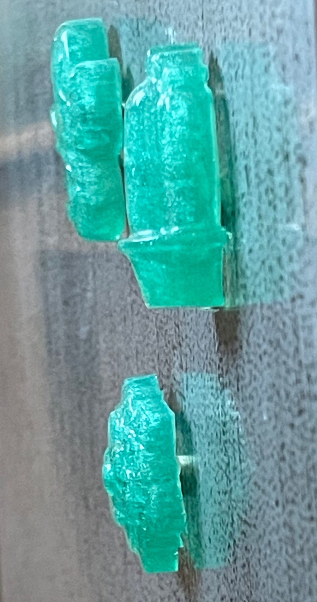 Succulent Resin Magnet Set - Sparkly Green